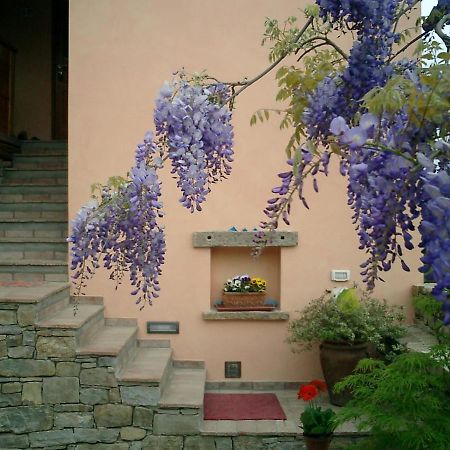 Bed and Breakfast Il Glicine San Dorligo della Valle Zewnętrze zdjęcie