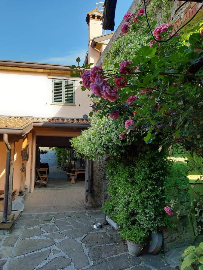 Bed and Breakfast Il Glicine San Dorligo della Valle Zewnętrze zdjęcie
