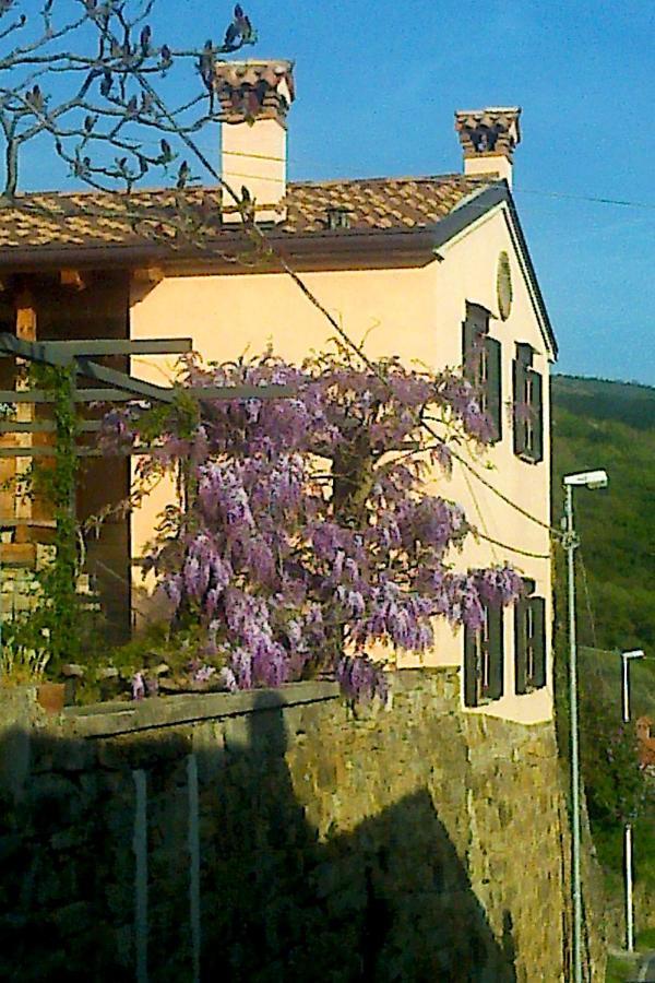 Bed and Breakfast Il Glicine San Dorligo della Valle Zewnętrze zdjęcie