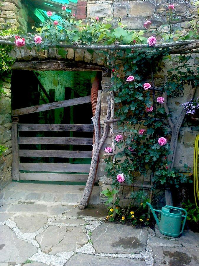 Bed and Breakfast Il Glicine San Dorligo della Valle Zewnętrze zdjęcie