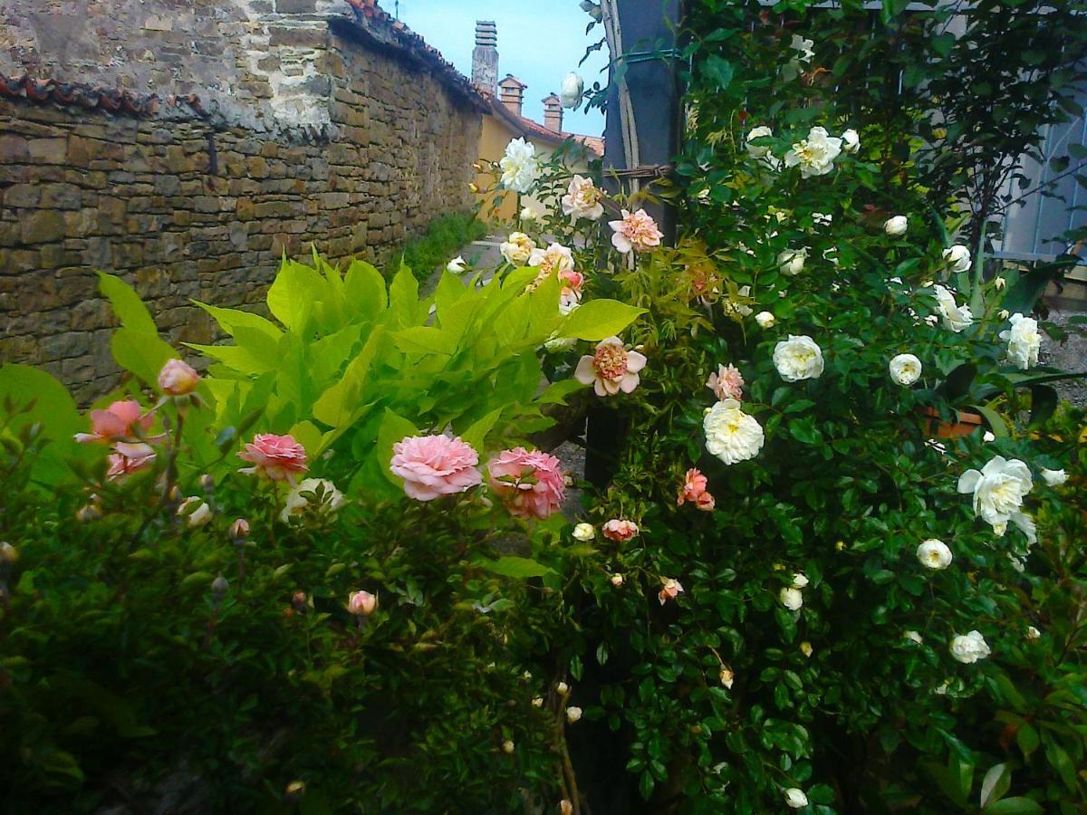Bed and Breakfast Il Glicine San Dorligo della Valle Zewnętrze zdjęcie