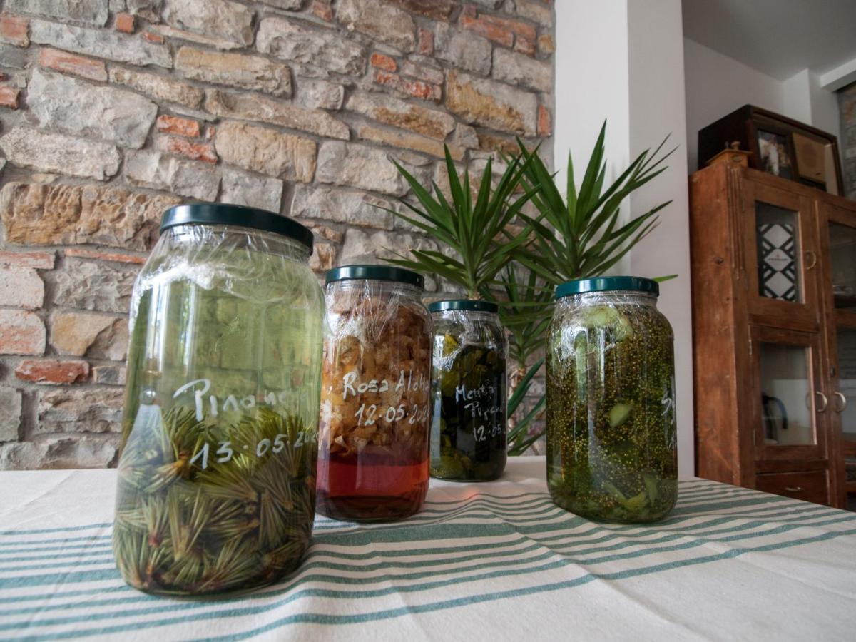 Bed and Breakfast Il Glicine San Dorligo della Valle Zewnętrze zdjęcie