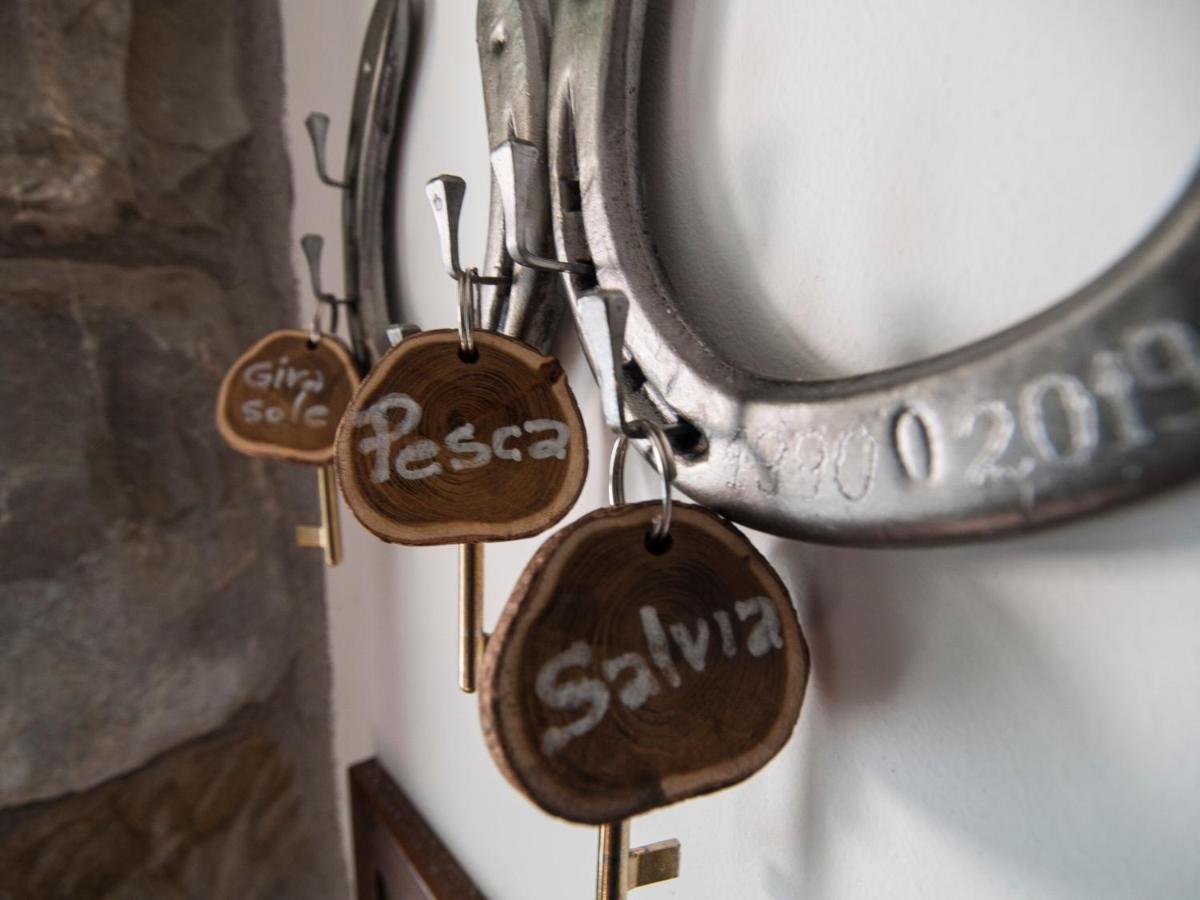 Bed and Breakfast Il Glicine San Dorligo della Valle Zewnętrze zdjęcie