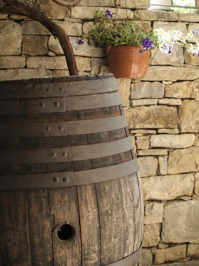 Bed and Breakfast Il Glicine San Dorligo della Valle Zewnętrze zdjęcie