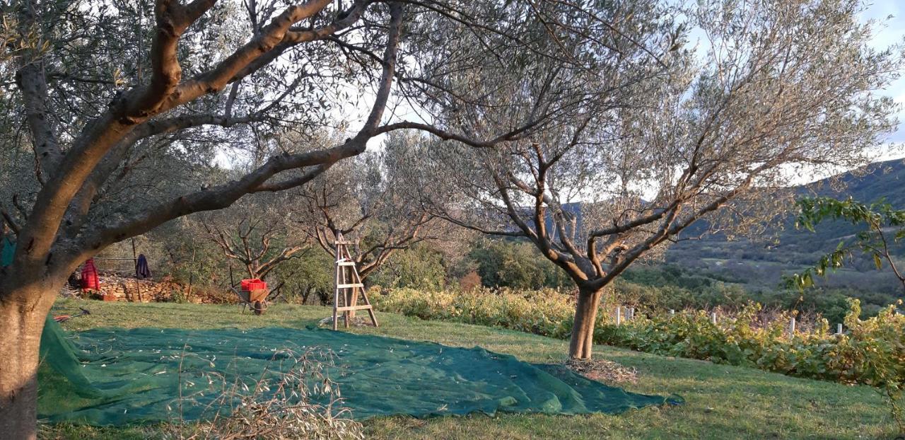 Bed and Breakfast Il Glicine San Dorligo della Valle Zewnętrze zdjęcie